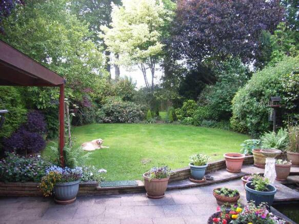 Photo 8