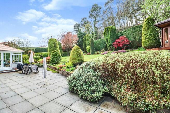 Rear Gardens