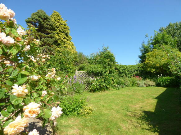 Photo 4