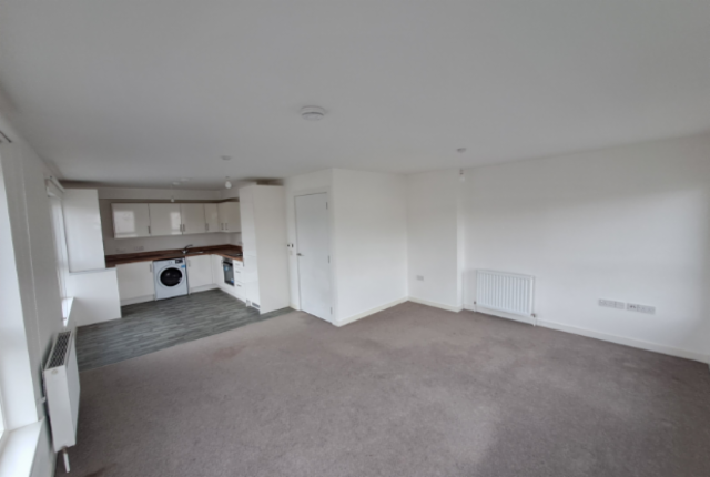 Open plan kitchen livingroom