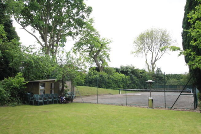 Photo 4
