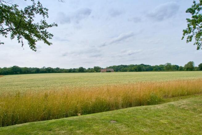 Countryside Views