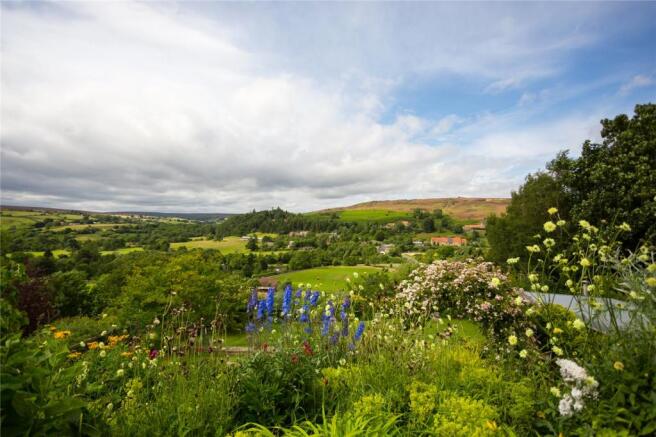 View From Garden