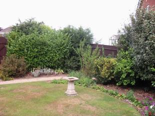 Garden 1