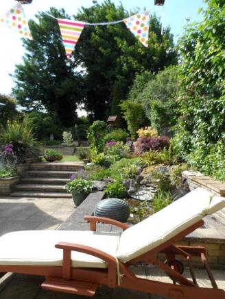 Garden From Summer 2013