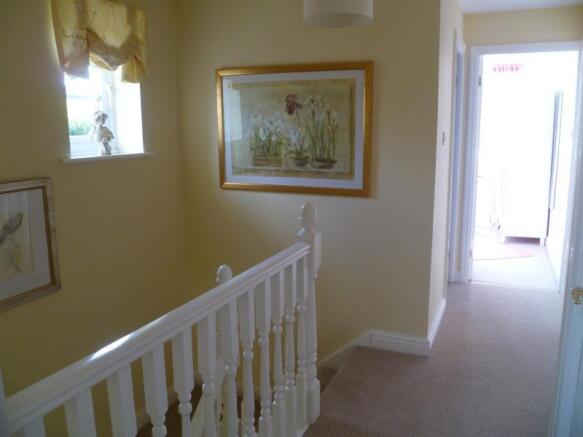 Image 8