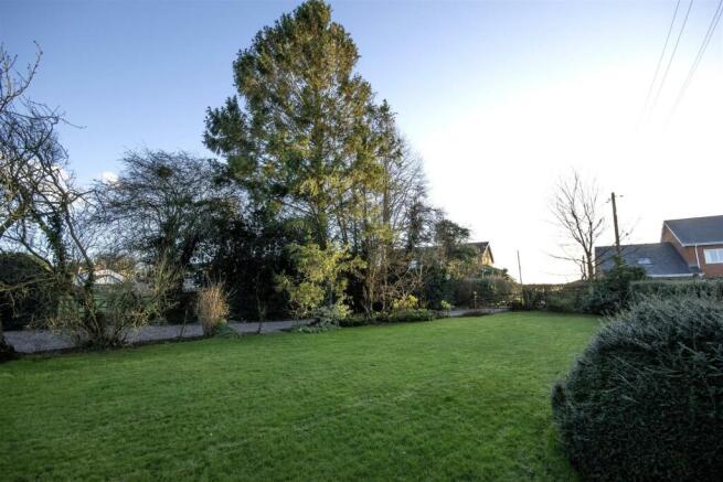 garden.jpg