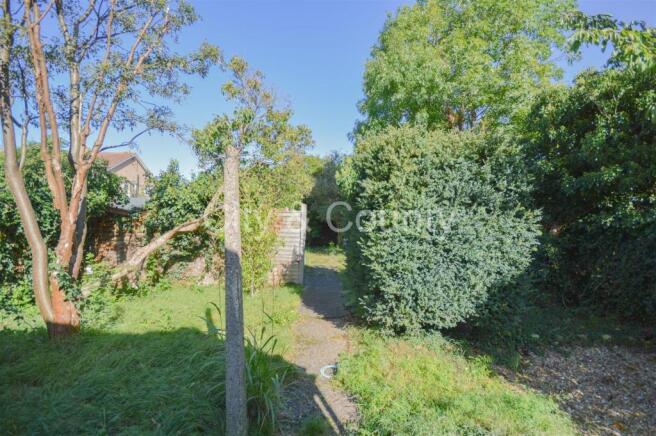 Garden.jpg