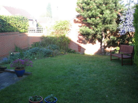 Photo 5