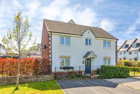 Hollyhock Crescent, Newton Abbot