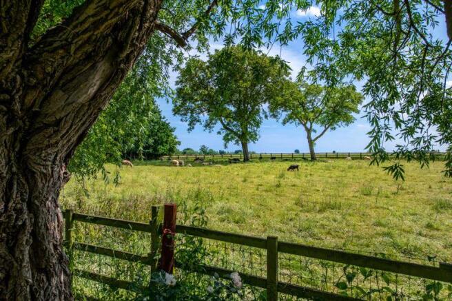 Country views