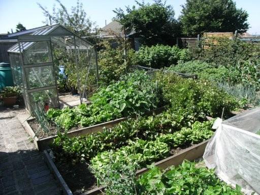 Garden Plot