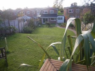 Garden 2