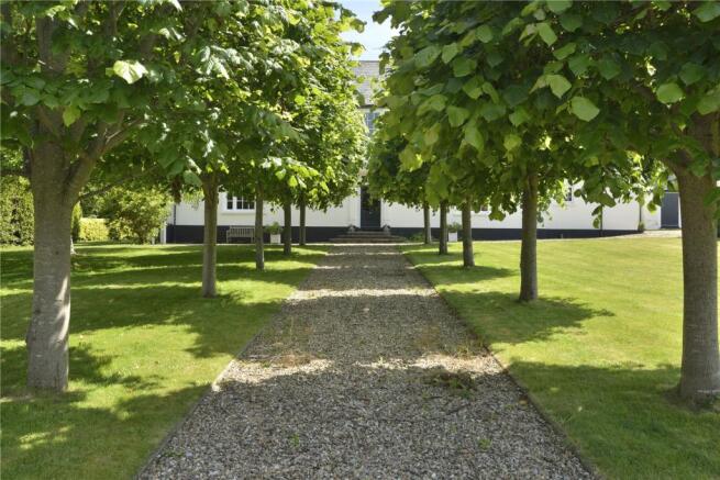Lime Trees