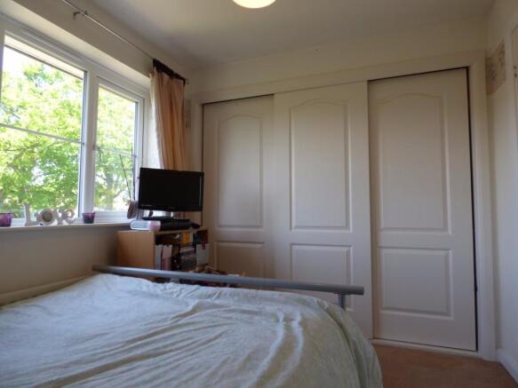 Picture 11