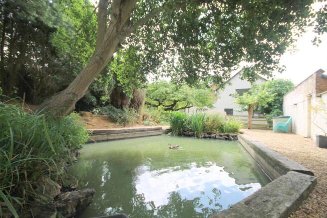 Duckpond