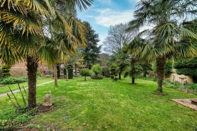 Palm trees and lawn.jpg