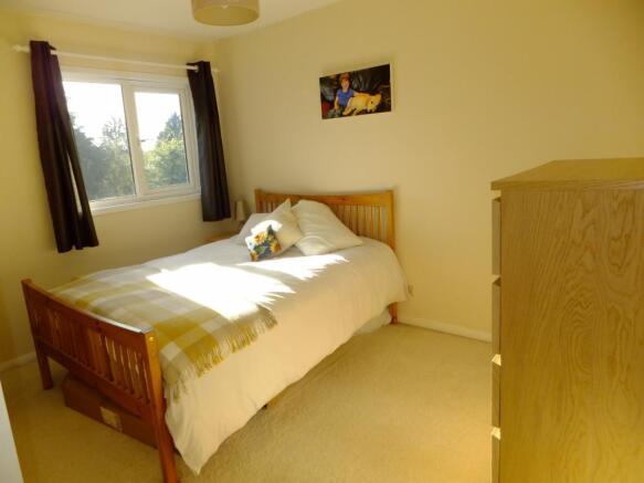 Picture 7