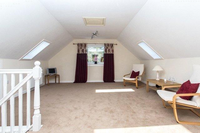 Living Room/Office