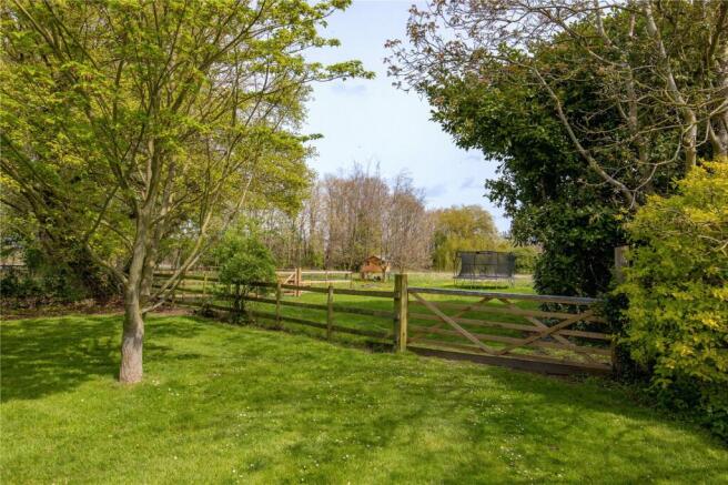 Meadow