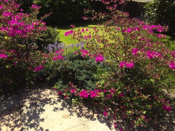 Photo 23