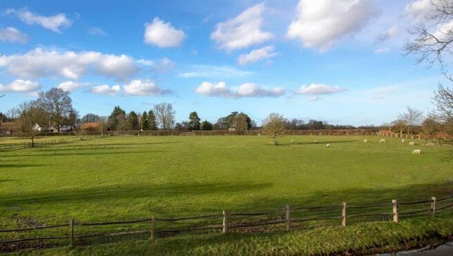 Front farmland view