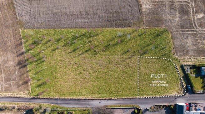 The Firs - Plot 1