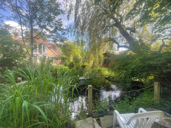 Pond and rear garden