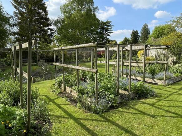 Garden 6.JPG