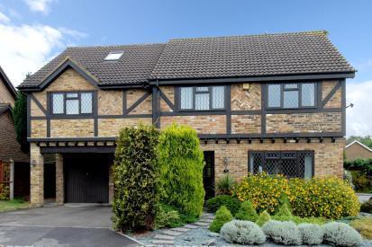 Front Aspect