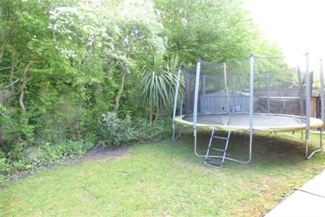 Garden 4