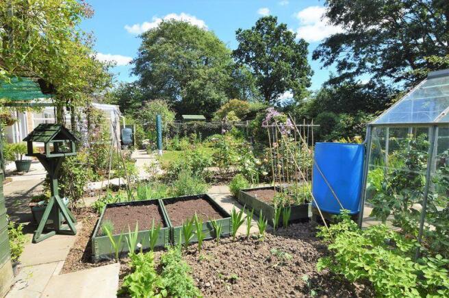 vegetable patch