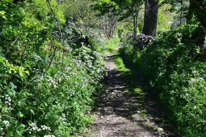 Photo 26