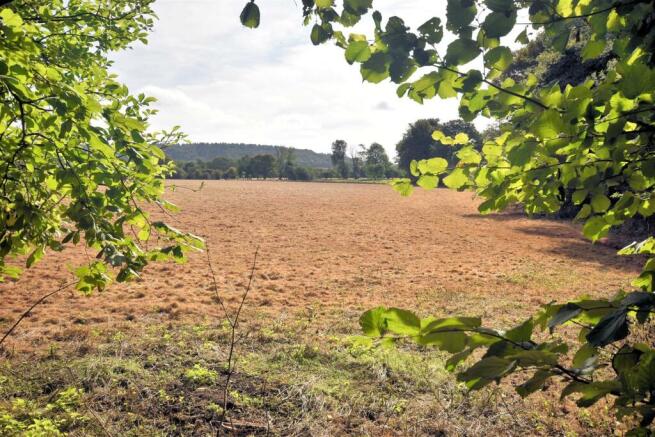 Fields to rear.jpg