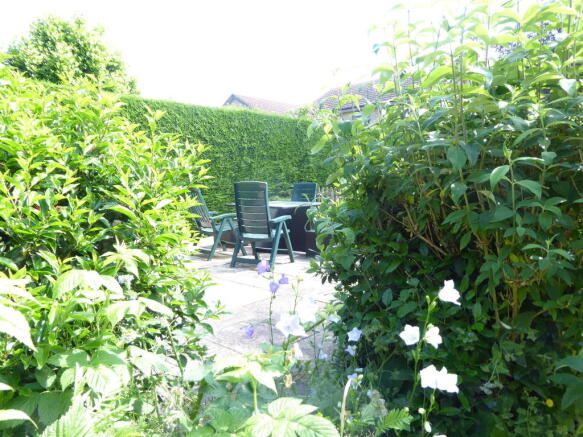 Photo 5