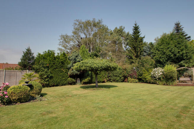 Photo 25