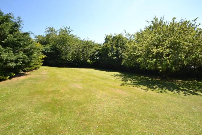 The Orchard
