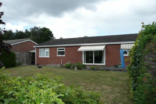 rear aspect