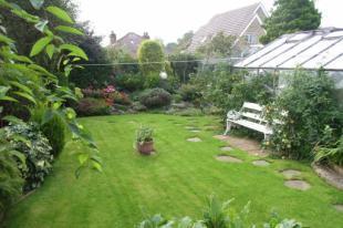 Back Garden
