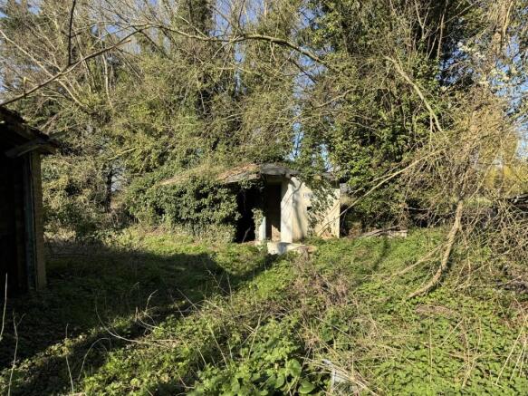 20260319 093853141 IOS  Medium  T202603191236.jpg