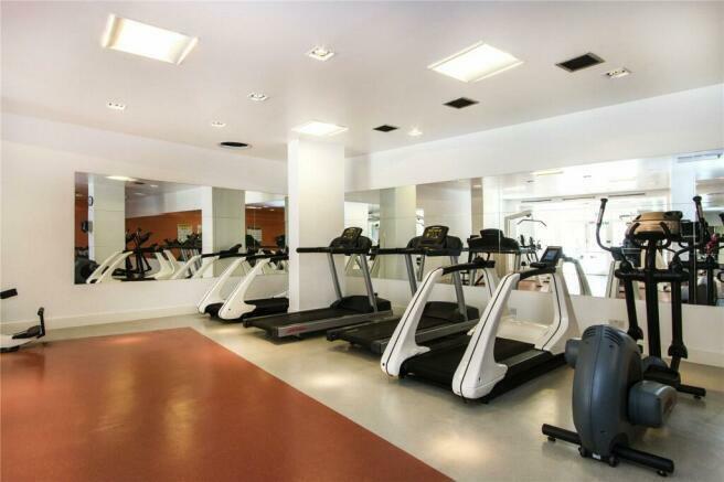 Gym.jpeg