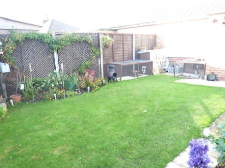 Garden (Main)