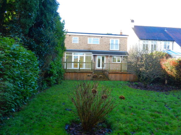 Photo 11