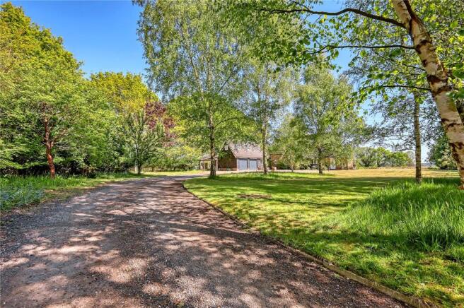 Drive Way