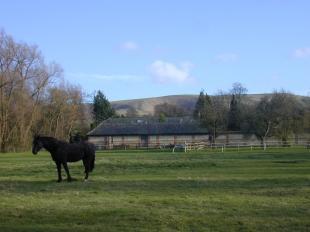 View to a Hill
