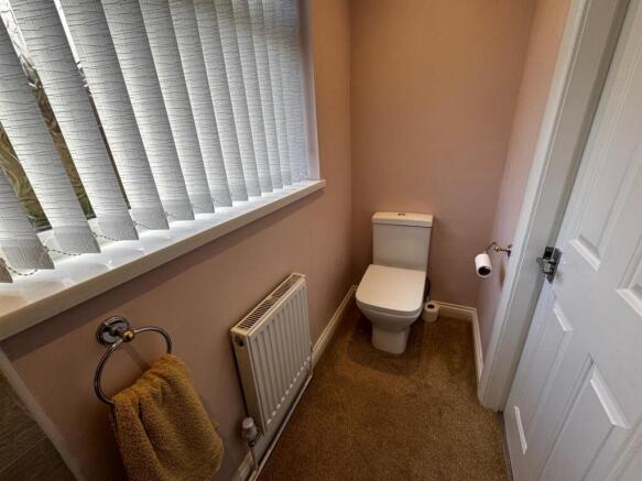 IMG_2300.jpg