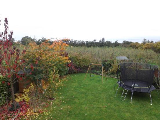 Garden1