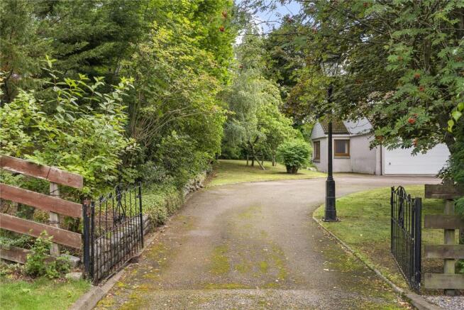 Bellenden Walk