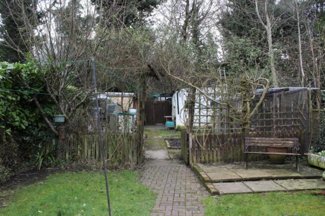 Picture 15