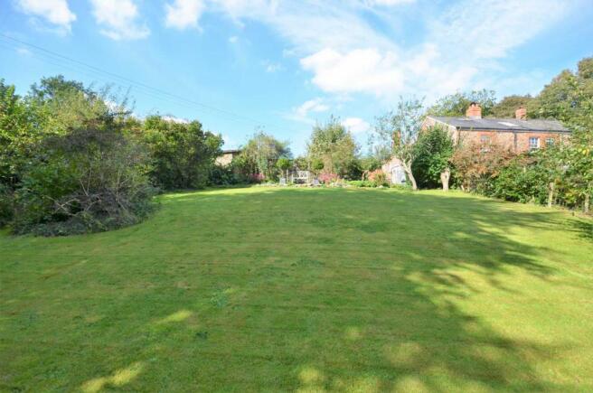 Lower garden